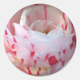 Adesivo Floral Rosa e Branco