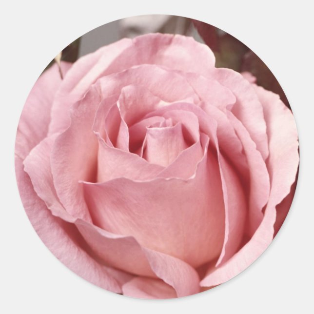 Adesivo Flores 137 (Frente)