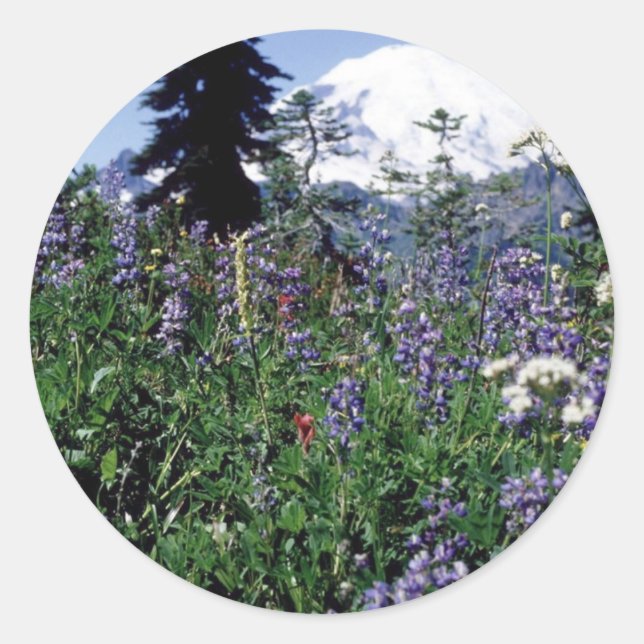 Adesivo Flores 139 (Frente)