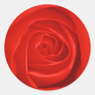 Adesivo Flores 55