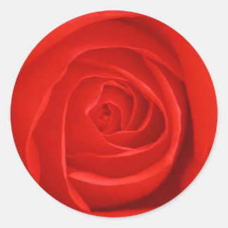 Adesivo Flores 55