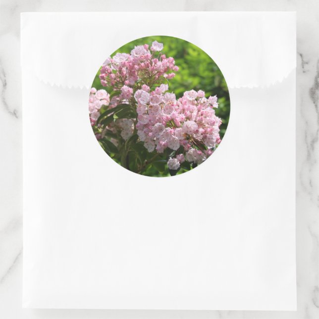 Adesivo Flores bonito de Laurel Montanha Rosa (Bolsa)