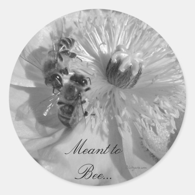 Adesivo Flores Brancas Selos De Convite Para Casamento (Frente)