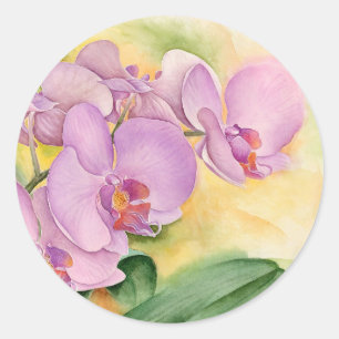 Adesivo Flores da orquídea do Phalaenopsis - multi