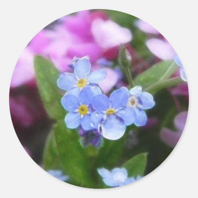 Adesivo Flores Da Primavera - Esqueça-Me Noções E Redbuds (Frente)