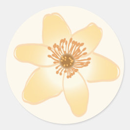 Adesivo Flores de Anêmonas Laranja Selvagens - desenho bot