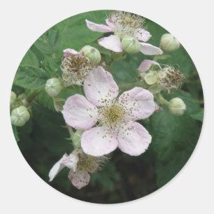Adesivo Flores de Blackberry Sticker