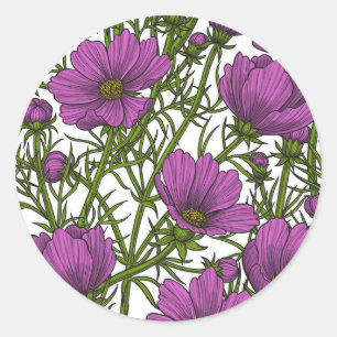 Adesivo Flores de cosmos violetas