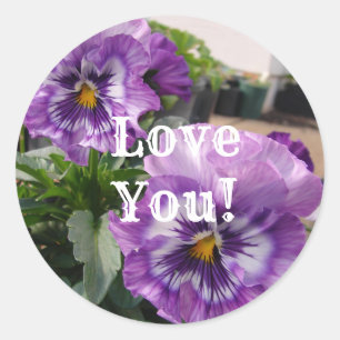Adesivo Flores de Foto Pansy Púrpura Flor Love Sticker Set