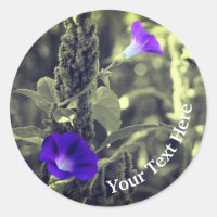 Flores de Glória da Manhã Personalizadas
