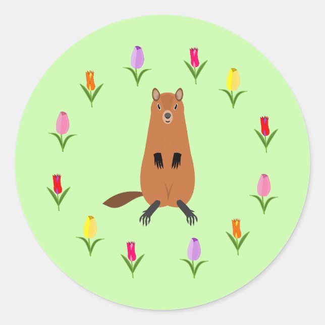 Adesivo Flores de Groundhog e Tulipas (Frente)