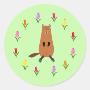 Adesivo Flores de Groundhog e Tulipas