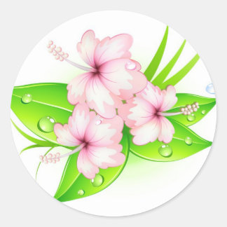 Adesivo flores de hibisco