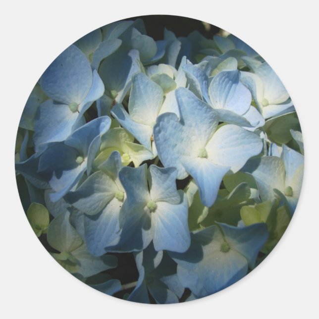 Adesivo Flores De Hidrópsia Azul Foto Floral (Frente)