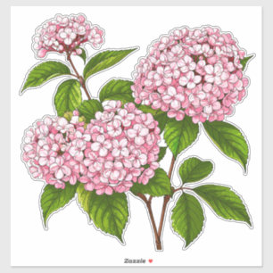 Adesivo Flores de Hortênsia Rosa em Flor Completa