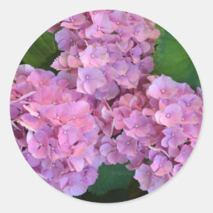 Adesivo Flores de hortênsia rosa pastel
