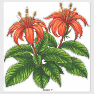 Adesivo Flores de Lírio Brilhantes com Folhas Verdes Exube