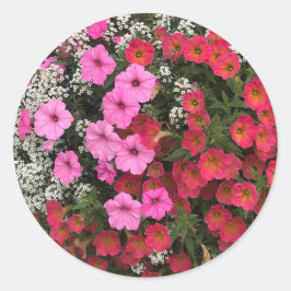 Adesivo Flores de Petúnia Rosa Primavera