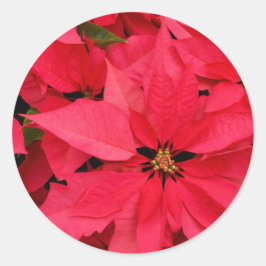 Adesivo Flores de Poinsettia Vermelha Cartões de natal Flo