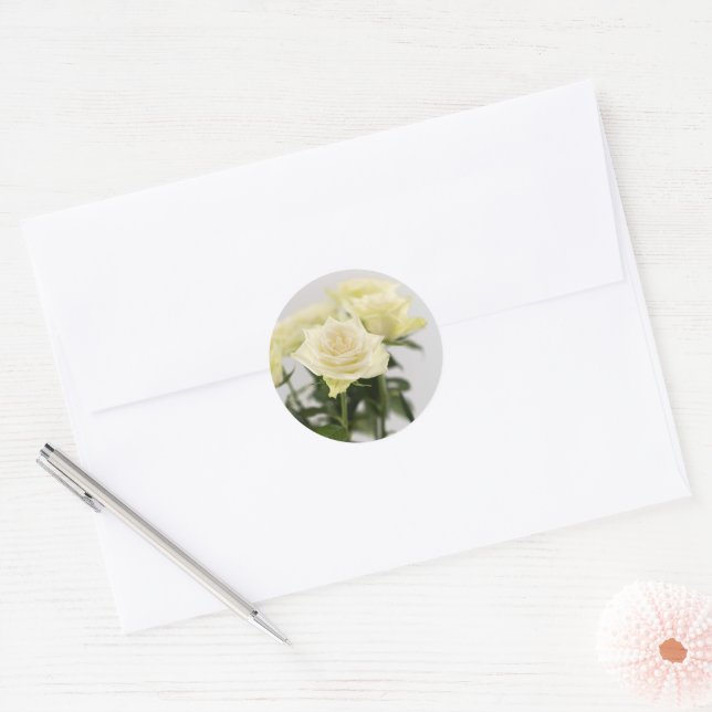 Adesivo Flores de Rosa Branca Fotografia Floral Elegante (Envelope)