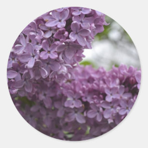 Adesivo Flores do Lilac