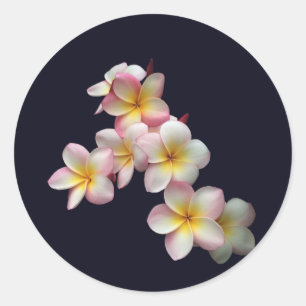 Adesivo Flores do Plumeria em azul escuro