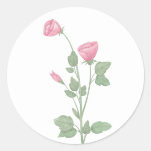 Adesivo Flores Elegantes Aquarela Rosa Casamento Floral
