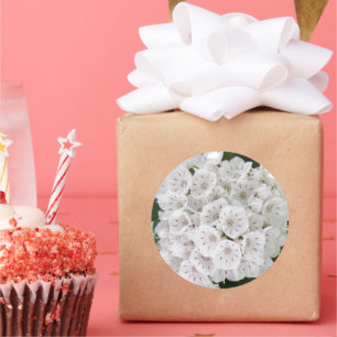 Adesivo Flores em forma de estrela da Montanha Branca