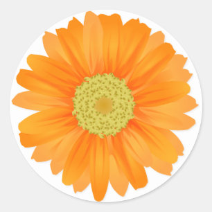 Adesivo Flores Florais de Gerbera Daisy