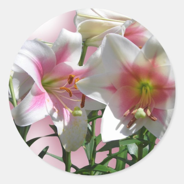 Adesivo Flores Fogem Festa de Chá de Amor Primavera (Frente)