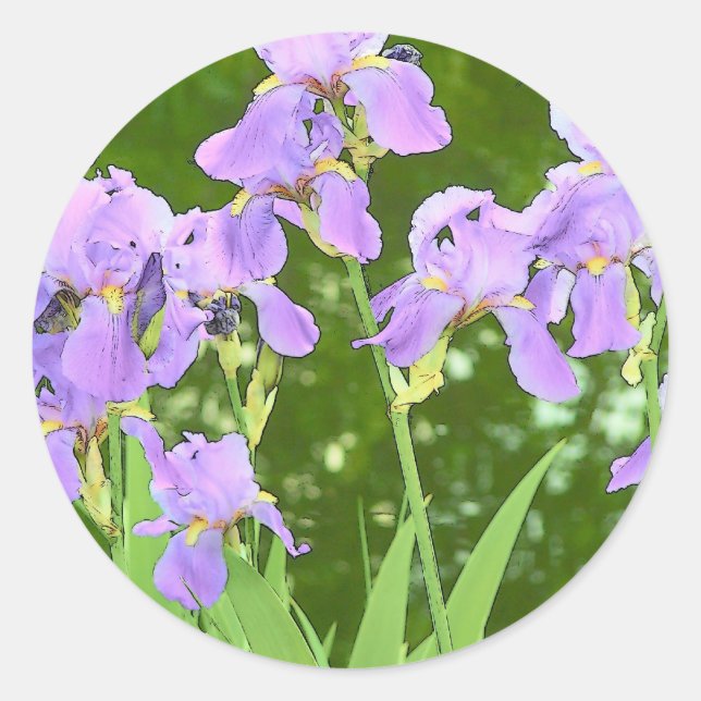 Adesivo Flores íris (Frente)
