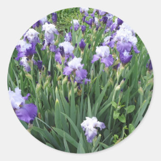 Adesivo Flores íris
