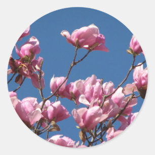 Adesivo Flores japonesas da magnólia