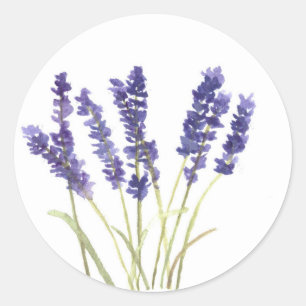 Adesivo flores lavandas lavanda francês natureza aquarela