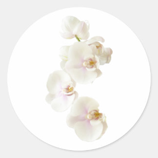 Adesivo Flores Orquídeas