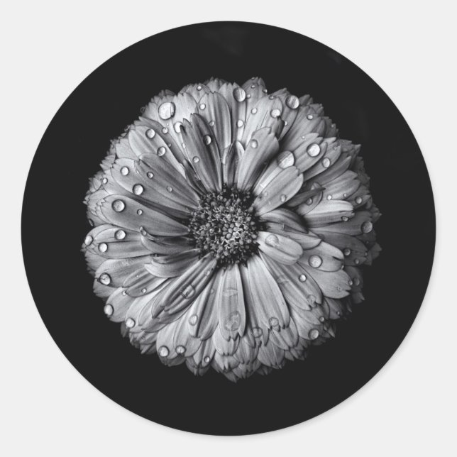 Adesivo Flores Pretas E Brancas 10 (Frente)