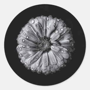 Adesivo Flores preto e branco 10
