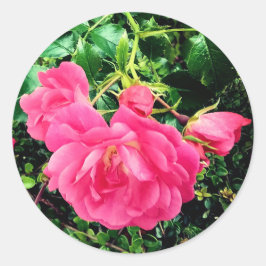 Adesivo Flores rosa