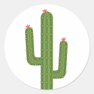 Adesivo Flores Rosa-Flores De Amor Verde De Cactus Rosa