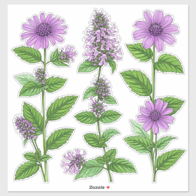 Adesivo Flores Roxas de Echinacea Com Folhas Verdes (Folha)