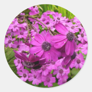 Adesivo Flores Roxas de São Francisco