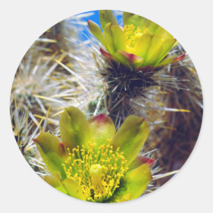 Adesivo Flores Silvestres de Cacto Cholla Prateado