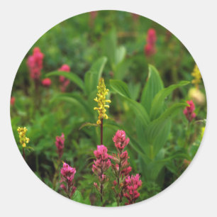 Adesivo Flores Silvestres de Verão Enchem de Cores Vibrant