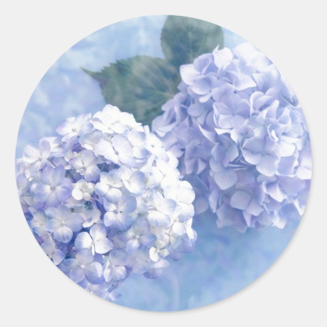 Adesivo Flores Stickers-Hydrangea (Frente)