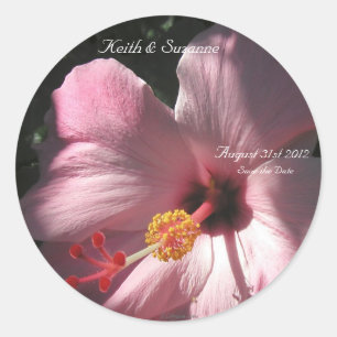 Adesivo Flores Tropicais de Hibiscus Cor-de-rosa
