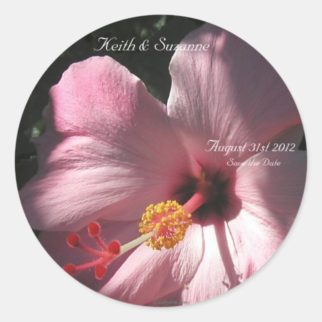 Adesivo Flores Tropicais de Hibiscus Cor-de-rosa (Frente)
