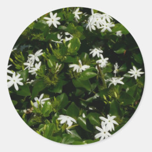 Adesivo Flores Tropicais De Jasmine