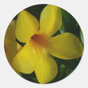 Adesivo Flores tropicais II Ouros