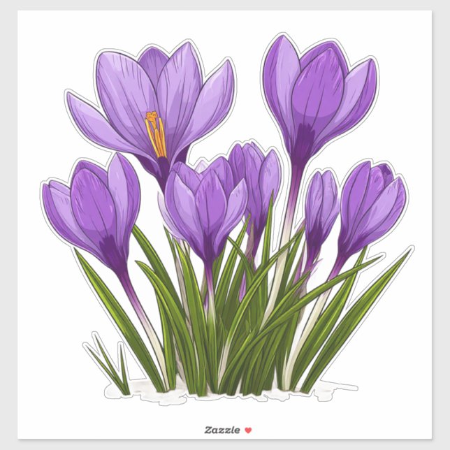Adesivo Flores Vibrantes de Crocus Roxo em Jardim Florido (Folha)