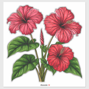 Adesivo Flores Vibrantes de Hibisco Vermelho com Folhas Ve